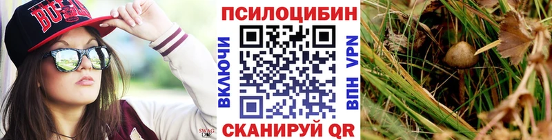 Купить  Волосово  Псилоцибиновые грибы прущие грибы 