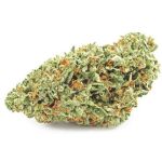 Шишки OG Kush  (Гидропоника, бошки) VHQ в Волосово